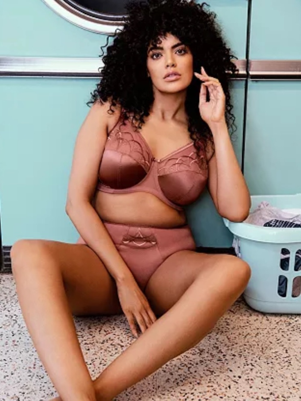 NWT Elomi Cate Rosewood High-Waist Brief, size 4XL